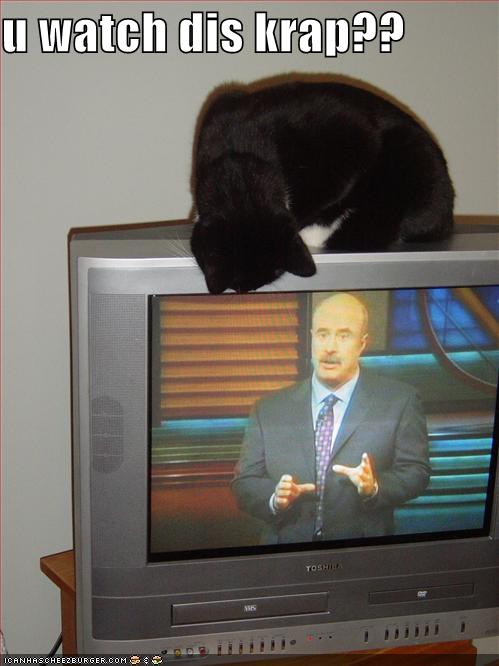 Name:  funny-pictures-cat-makes-fun-of-your-television-show-selection.jpg
Views: 140
Size:  40.9 KB