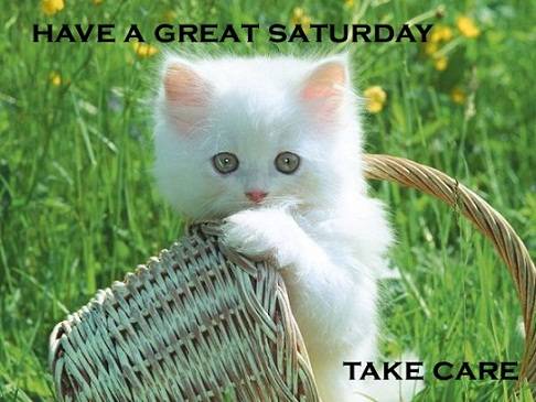 Name:  Have-a-great-saturday-cute-kitty.jpg
Views: 370
Size:  34.6 KB