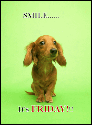 Name:  smile_its_friday_1208-7c1dab2010f0cf4fcdd9e54937a5e1e5.gif
Views: 240
Size:  82.4 KB