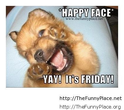 Name:  Happy-friday-to-everybody-funny-picture1.jpg
Views: 199
Size:  34.0 KB