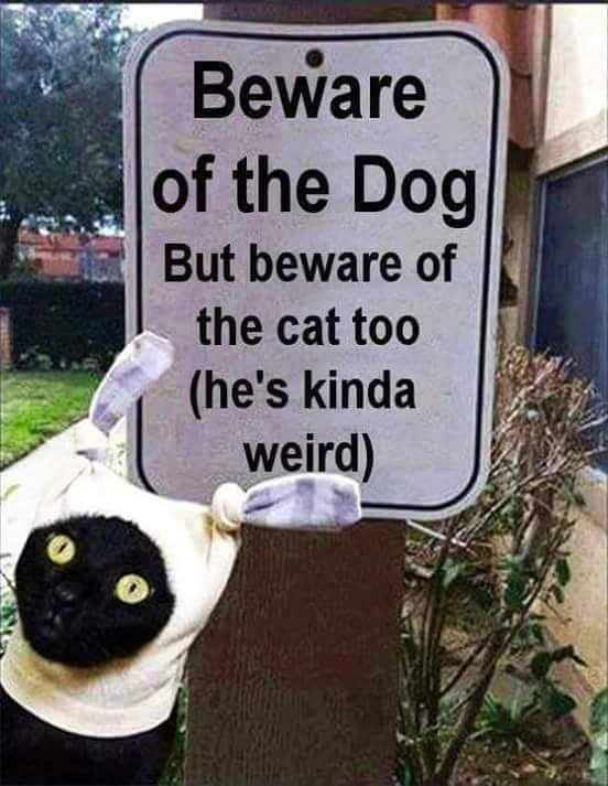 Name:  Beware of dog & cat..jpg
Views: 142
Size:  49.7 KB