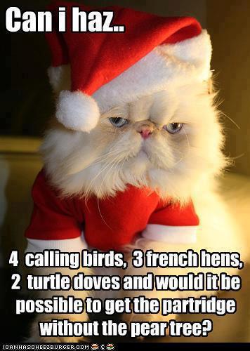 Name:  Cat-Christmas-Jokes-022.jpg
Views: 301
Size:  34.0 KB