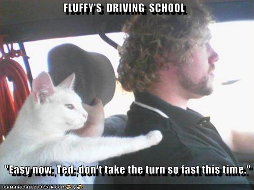 Name:  funny-pictures-cat-teaches-driving-school.jpg
Views: 224
Size:  28.9 KB
