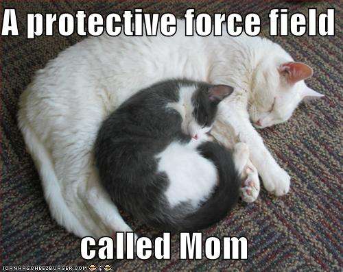 Name:  catmomprotective.jpg
Views: 107
Size:  37.1 KB