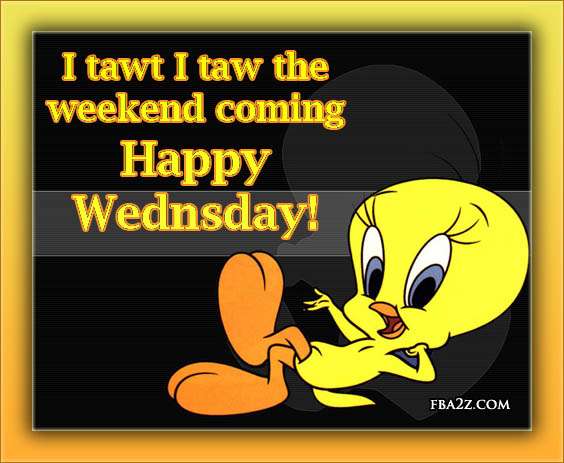Name:  wednesday-humpday-hump-day-tweety-bird-cartoon-cute-adorable-fb-comment-graphics-pictures-photos.jpg
Views: 89
Size:  72.0 KB
