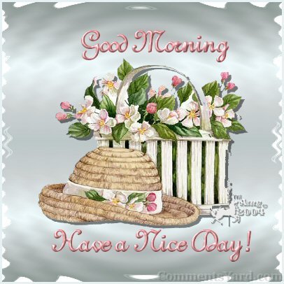 Name:  good-morning-have-a-nice-day-basket-of-flowers.jpg
Views: 91
Size:  41.5 KB