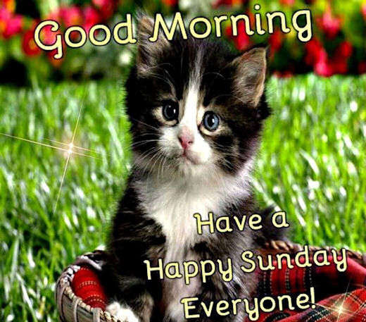 Name:  Good-Morning-Have-A-Happy-Sunday-Everyone-wm413.jpg
Views: 115
Size:  56.6 KB