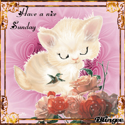 Name:  122630-Have-A-Nice-Sunday.gif
Views: 143
Size:  199.5 KB