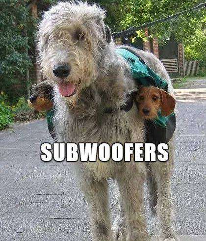 Name:  subwoofers.jpg
Views: 102
Size:  54.1 KB