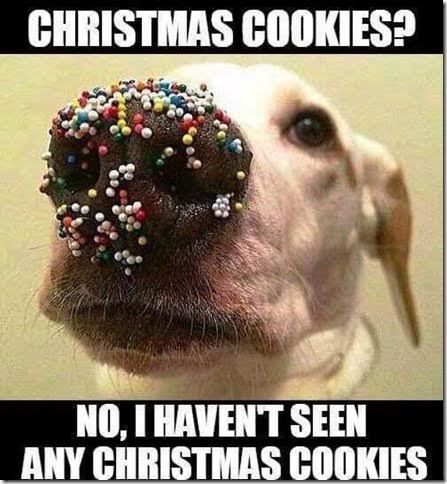 Name:  Christmas-Cookies.jpg
Views: 173
Size:  44.0 KB