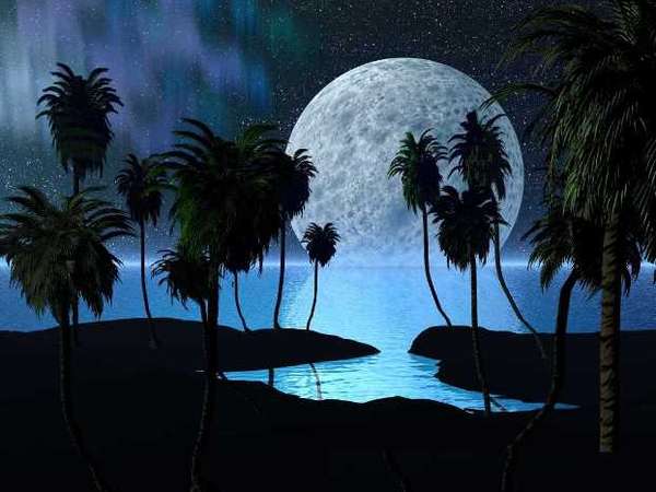 Name:  full-moon-and-palms a.jpg
Views: 270
Size:  31.3 KB