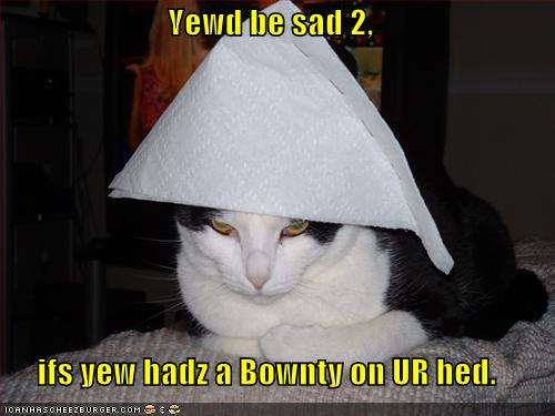 Name:  funny-pictures-sad-cat-bounty-on-head.jpg
Views: 391
Size:  23.3 KB