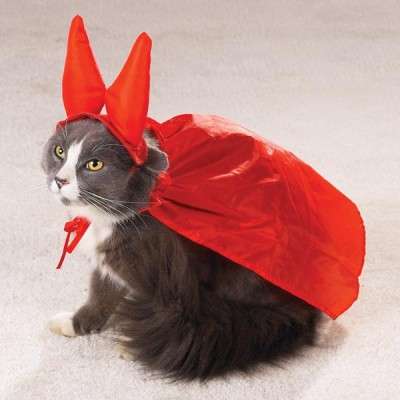 Name:  halloween-cat-costume2-400x400.jpg
Views: 404
Size:  14.1 KB