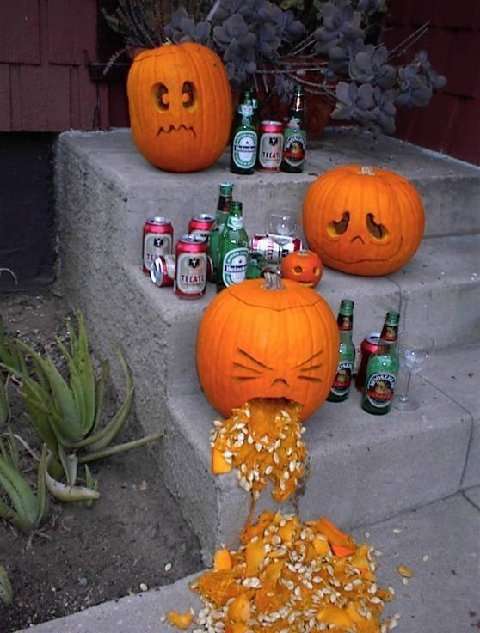 Name:  Too much pumpkin partying.jpg
Views: 294
Size:  40.6 KB