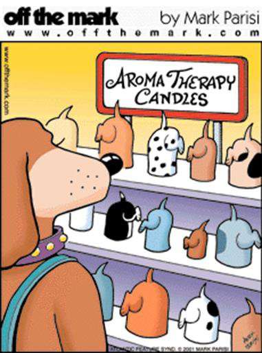 Name:  Aroma Therapy Candles for dogs.jpg
Views: 246
Size:  36.0 KB