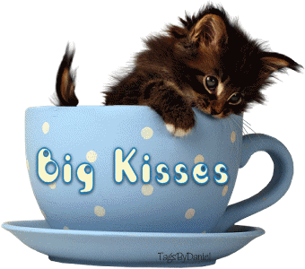 Name:  kitty cup.gif
Views: 286
Size:  60.0 KB