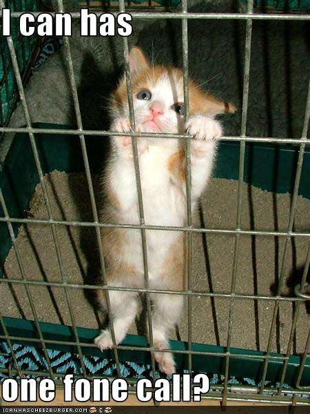 Name:  funny-pictures-your-kitten-wants-a-phonecall-from-jail.jpg
Views: 291
Size:  51.3 KB