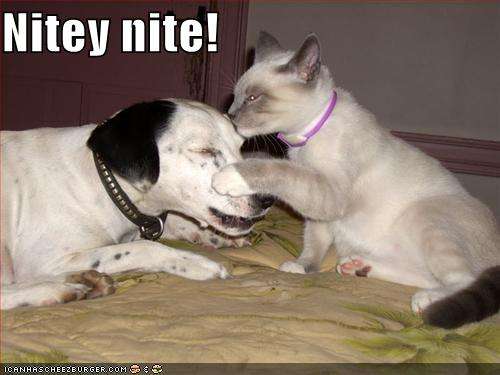 Name:  funny-pictures-cat-kisses-dog-goodnight.jpg
Views: 19180
Size:  23.0 KB