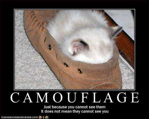 Name:  funny-pictures-kitten-is-hiding1.jpg
Views: 102
Size:  28.8 KB