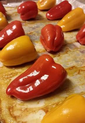Name:  peppers 1.jpg
Views: 171
Size:  23.4 KB