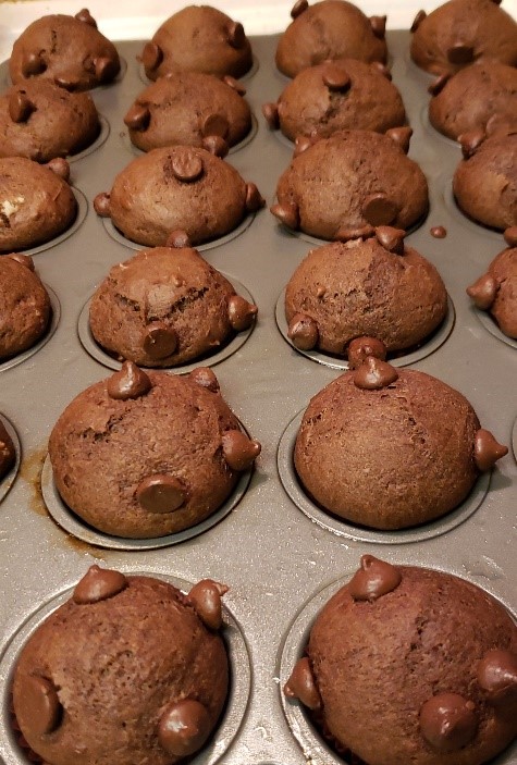 Name:  c. muffins.jpg
Views: 119
Size:  118.1 KB