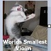 Name:  world's smallest violin.jpg
Views: 79
Size:  4.5 KB