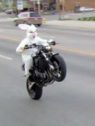 Name:  Easter Bunny Biker.jpg
Views: 107
Size:  38.9 KB