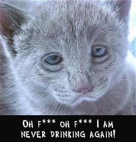 Name:  658425440039113hangover1.jpg
Views: 104
Size:  14.9 KB