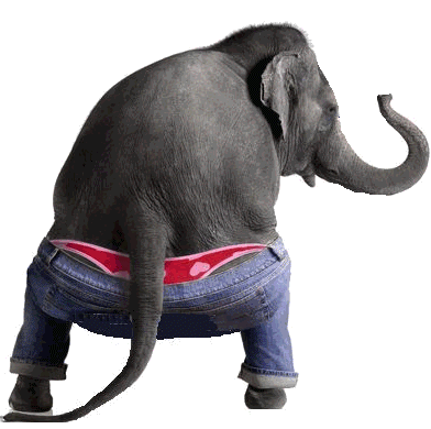Name:  lol pic gif animated elephant in jeans and underwerar dancing.png
Views: 390
Size:  103.6 KB