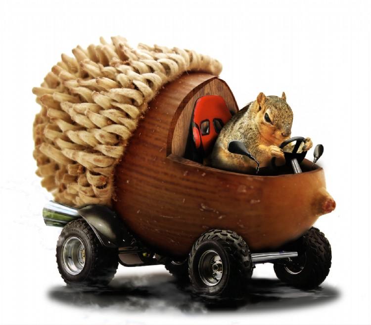 Name:  Squirrel-Driving-Acorn-Truck.jpg
Views: 378
Size:  51.1 KB