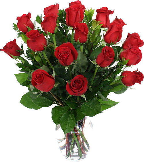 Name:  18-red-roses-in-a-vase.jpg
Views: 1201
Size:  46.1 KB