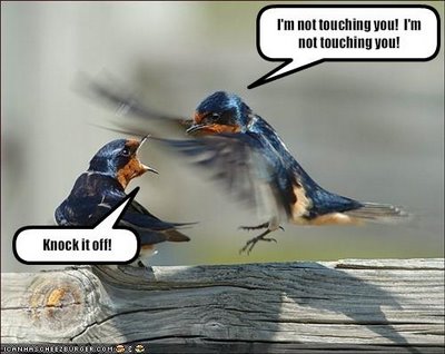 Name:  funny-pictures-sibling-hummingbirds-fight3.jpg
Views: 196
Size:  28.9 KB