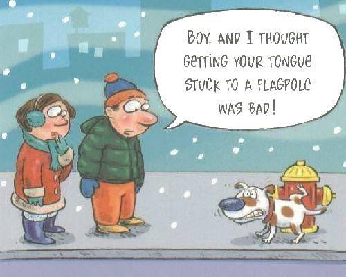 Name:  a.aaa-This-is-why-dogs-hate-winter.jpg
Views: 742
Size:  35.9 KB
