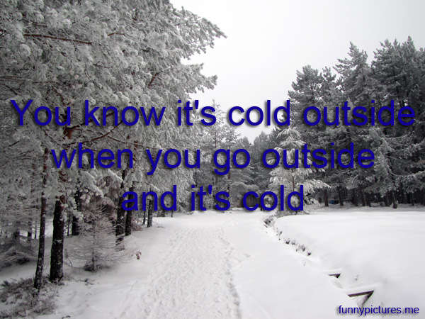 Name:  funny-pictures-you-know-its-cold-outside.jpg
Views: 304
Size:  74.1 KB