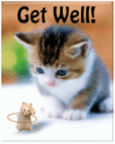Name:  cute kitten get well.gif
Views: 9143
Size:  45.0 KB