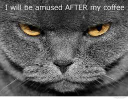 Name:  amused after coffee.jpg
Views: 108
Size:  13.7 KB