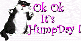 Name:  cat hump day.gif
Views: 71
Size:  18.1 KB