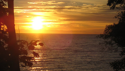 Name:  sunshine-coast.jpg
Views: 111
Size:  26.9 KB