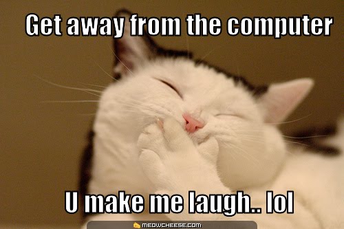 Name:  laughing_cat.jpg
Views: 6514
Size:  32.9 KB