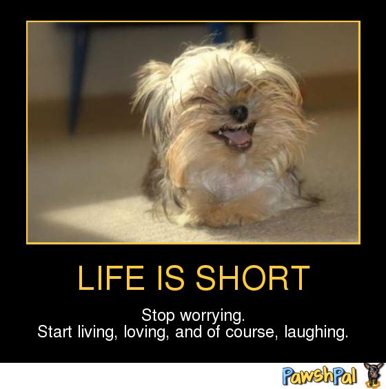 Name:  funny-pet-poster-1317425075.png
Views: 650
Size:  190.9 KB