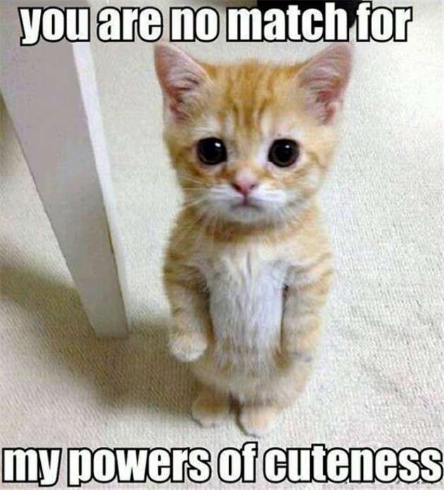 Name:  You-are-no-match-for-my-power-of-cuteness.jpg
Views: 358
Size:  48.1 KB