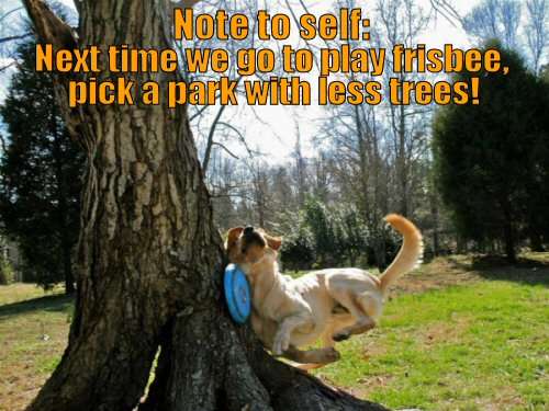 Name:  funny-dog-picture-dog-vs-tree.jpg
Views: 232
Size:  36.2 KB