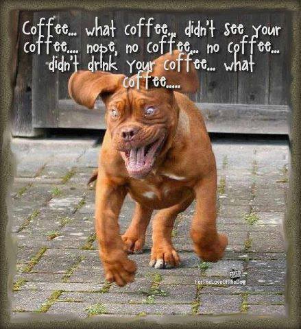 Name:  funny-pictures-dog-coffee.jpg
Views: 6379
Size:  47.3 KB