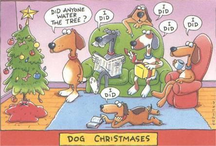 Name:  funny-dogs-Christmas-tree-picture-comic-strip.jpg
Views: 339
Size:  32.2 KB