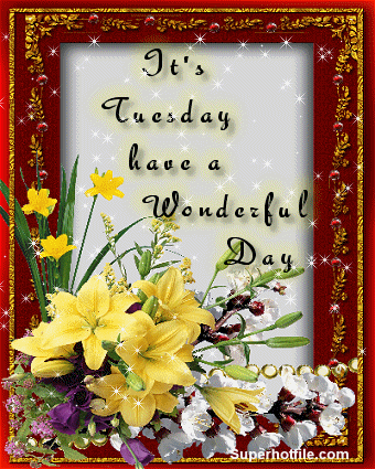 Name:  130473-It-s-Tuesday-Have-A-Wonderful-Day.gif
Views: 290
Size:  203.5 KB