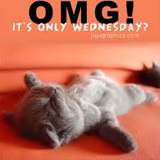 Name:  omg its only wed.jpeg
Views: 88
Size:  7.4 KB