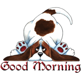 Name:  g.m. tail.gif
Views: 76
Size:  119.3 KB