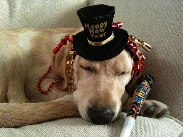 Name:  New Year wishes.jpg
Views: 101
Size:  43.0 KB