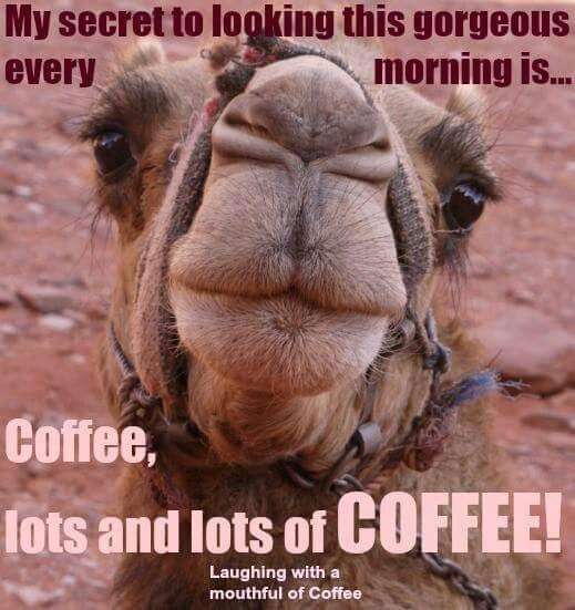 Name:  215689-Hump-Day-Camel-Funny-Wednesday-Coffee-Quote.jpg
Views: 70
Size:  41.6 KB