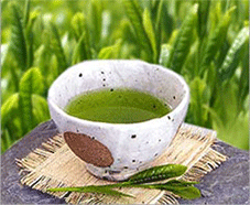 Name:  japanese-tea-farm-2.gif
Views: 92
Size:  37.2 KB